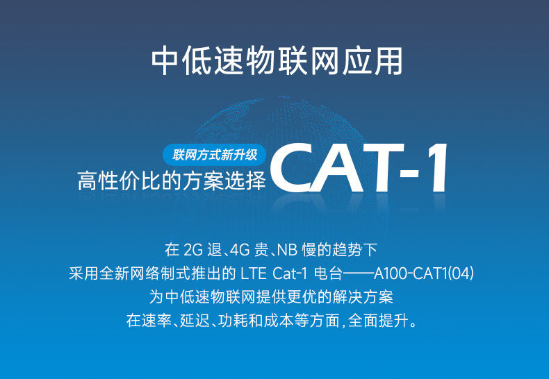 100-CAT1(04)詳情_05